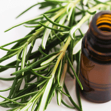 Load image into Gallery viewer, Tea Tree Essential Oil
